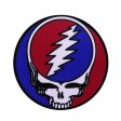 Grateful Dead Stealie Pin For Discount